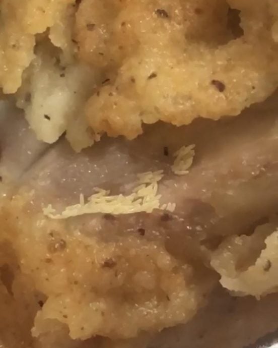 炸鸡皮下藏苍蝇卵!顾客吃后腹泻