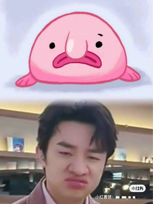 王祖蓝模仿金鱼嘴被弹 身高矮过邓紫棋成亮点