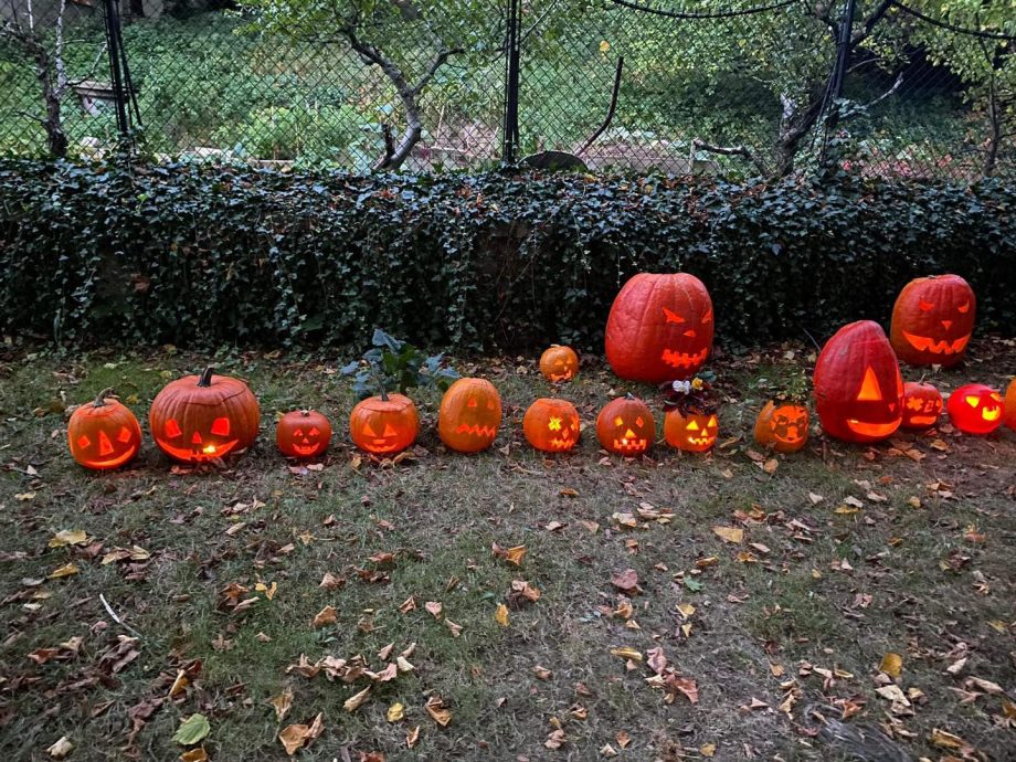 神父破坏万圣节南瓜摆设 吓坏小孩被迫道歉