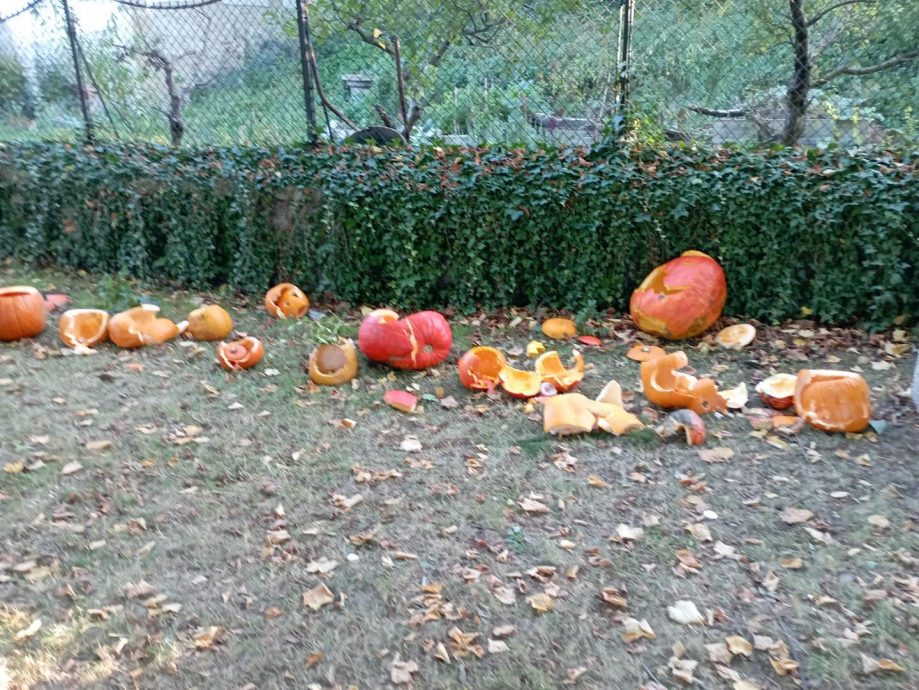 神父破坏万圣节南瓜摆设 吓坏小孩被迫道歉
