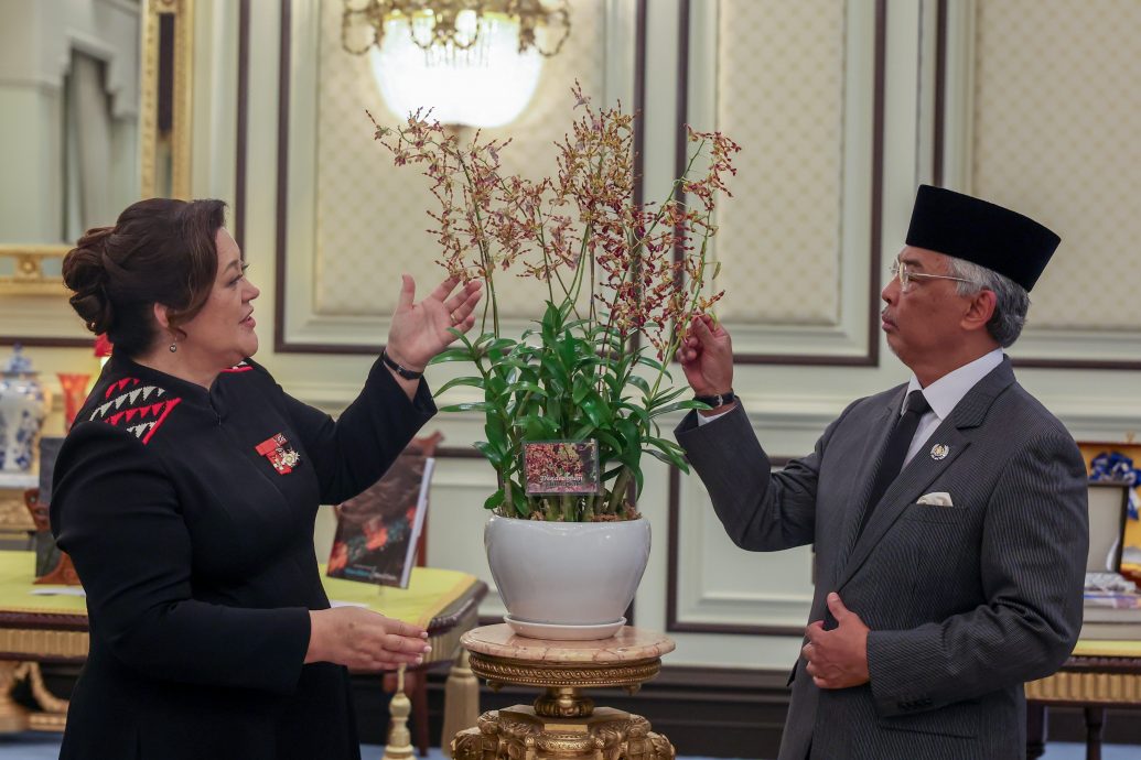 纽西兰总督绮罗爵士国家王宫获国宾规格款待