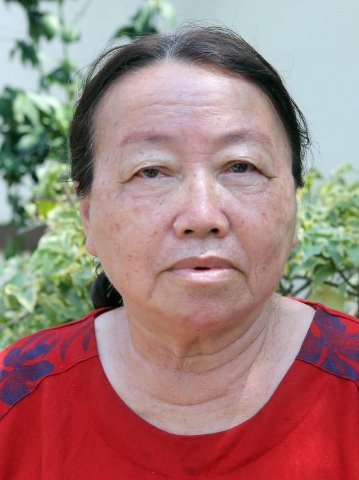 罗思义:减缓水患问题 和丰治水防御墙一年内完成