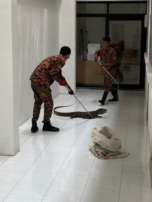 获捐消防车 金宝义消队更好服务社区