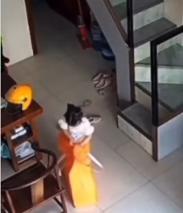 视频| 女童独自玩耍躲进大袋 拉不开拉链险丢命