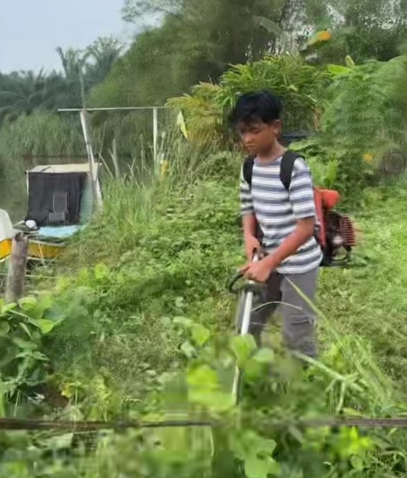 视频|13岁少年生活技能满分  网民纷赞“日后嫁他不怕挨饿”