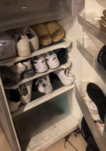 视频|旧冰箱不存食物 放这个 网民:太聪明了!