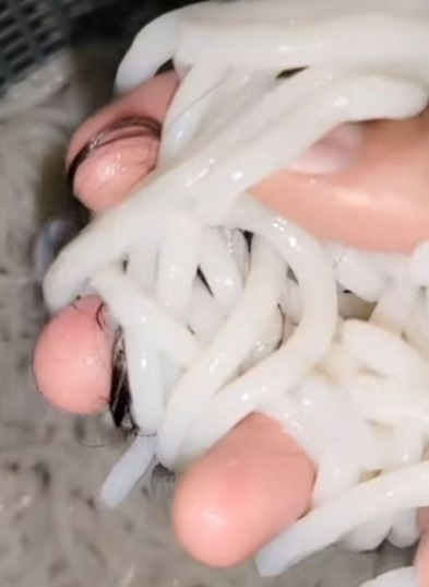 视频|煮面半途浮出一撮头发 “煮两次都一样”