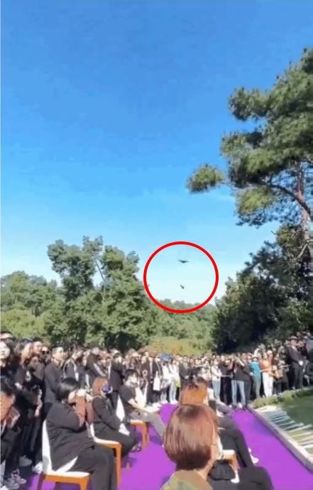 追思会飞入2只蝴蝶  “李玟带爸爸来了”