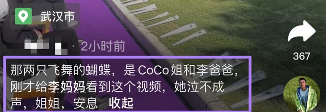 追思会飞入2只蝴蝶  “李玟带爸爸来了”