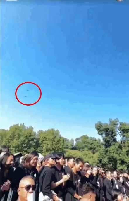 追思会飞入2只蝴蝶  “李玟带爸爸来了”