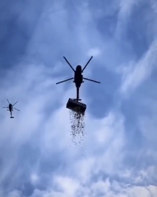 钱从天降！捷克富豪出谜题派100万美元 4000人成功解码到场捡钱