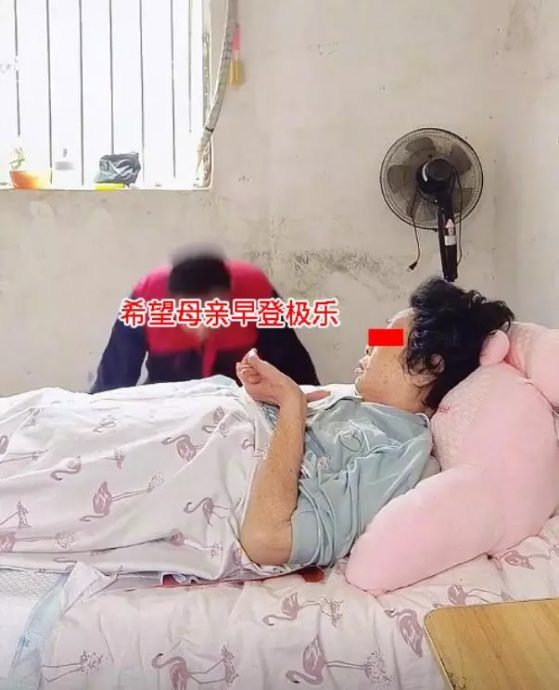 长照悲哀无人知 子跪求瘫母“去死”莫拖累家人