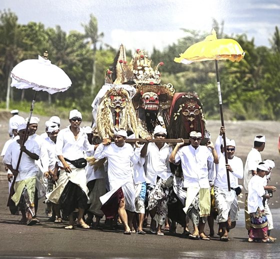 陈亚才/峇厘岛印度教掠影