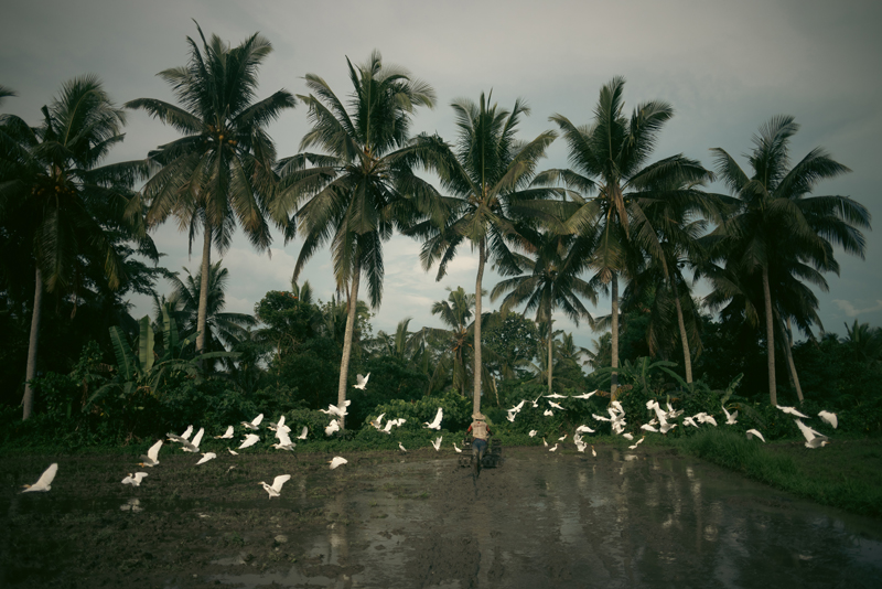 陈子韩／屹立不动