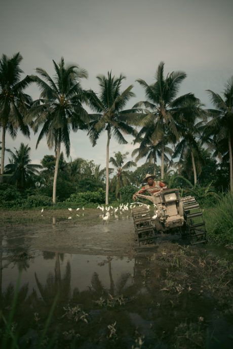 陈子韩／屹立不动