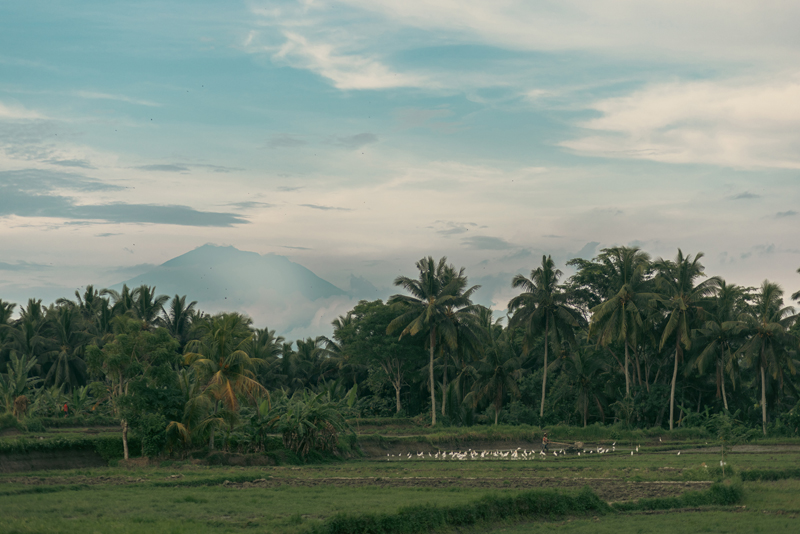 陈子韩／屹立不动