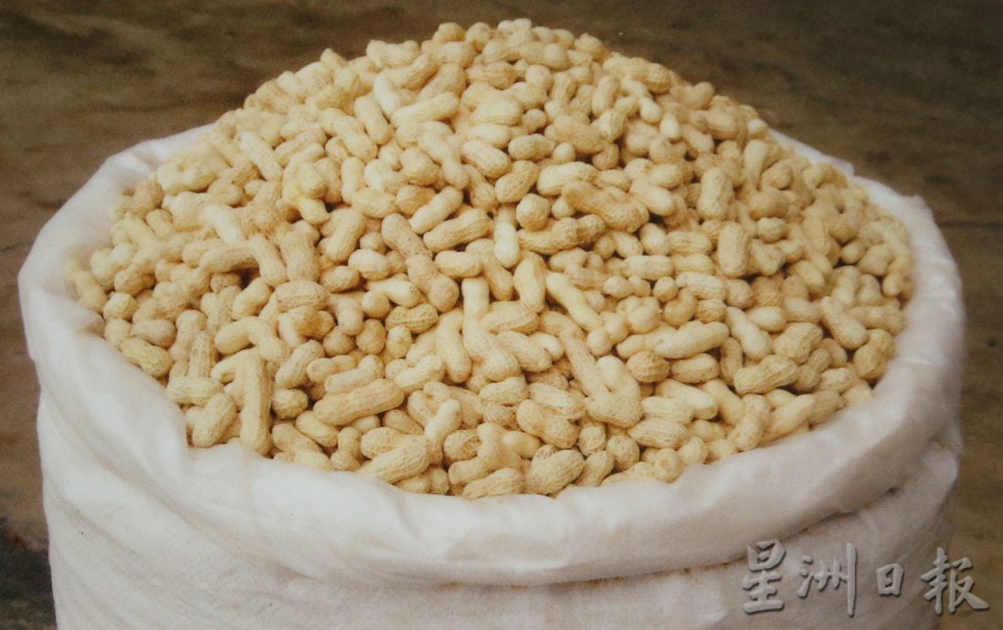 霹:25日见报/封底主文/它的诞生 | 洗煮晒烘4步骤 宝塔食品包装花生的诞生