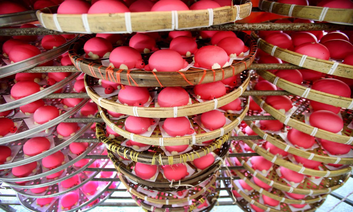 霹：封底主文／它的诞生补QR