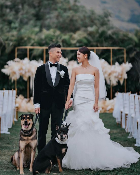 黄心颖巧妙遮肚疑有孕 直认拼生子领生育金