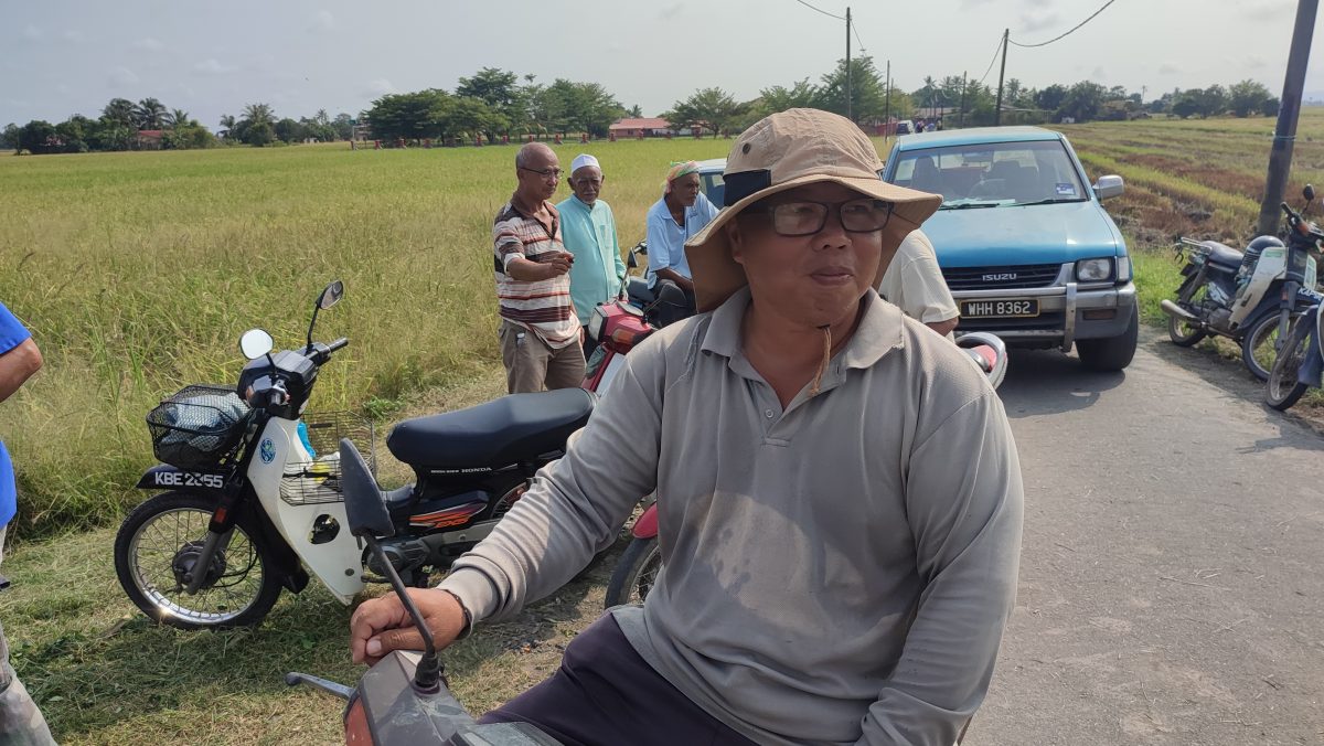 (全国版)不满收购价降至1200令吉,北马4州农民和平示威