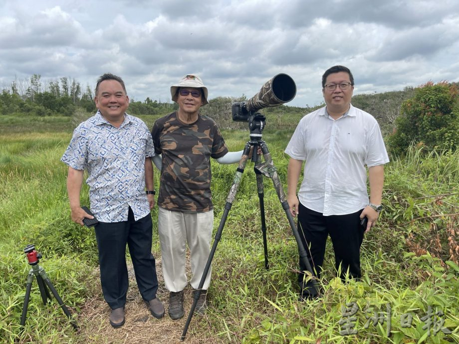 (古城封面主文)湿地被发展土地取代·候鸟消失殆尽 可惜!