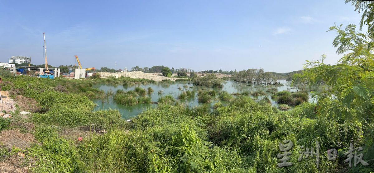 (古城封面主文)湿地被发展土地取代·候鸟消失殆尽 可惜!