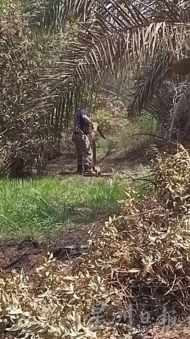 (古城封面副文)油棕园失火