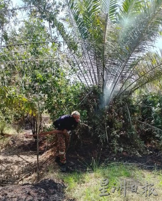 (古城封面副文)油棕园失火