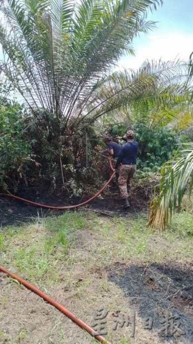 (古城封面副文)油棕园失火