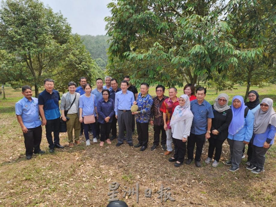 (古城第四版主文)黄章麟:榴梿不仅是水果,更是文化和友谊的象征
