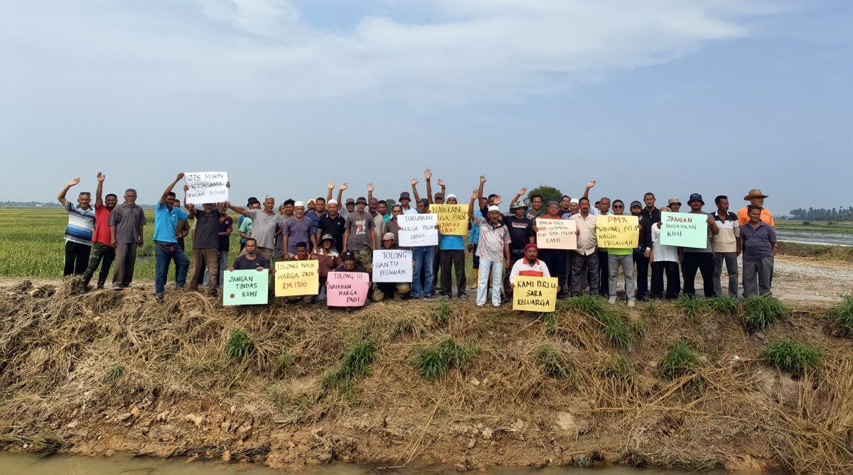 (大北马)每亩田只赚200令吉,我们也需要养家!