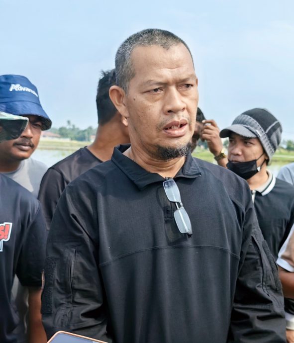 (大北马)每亩田只赚200令吉,我们也需要养家!