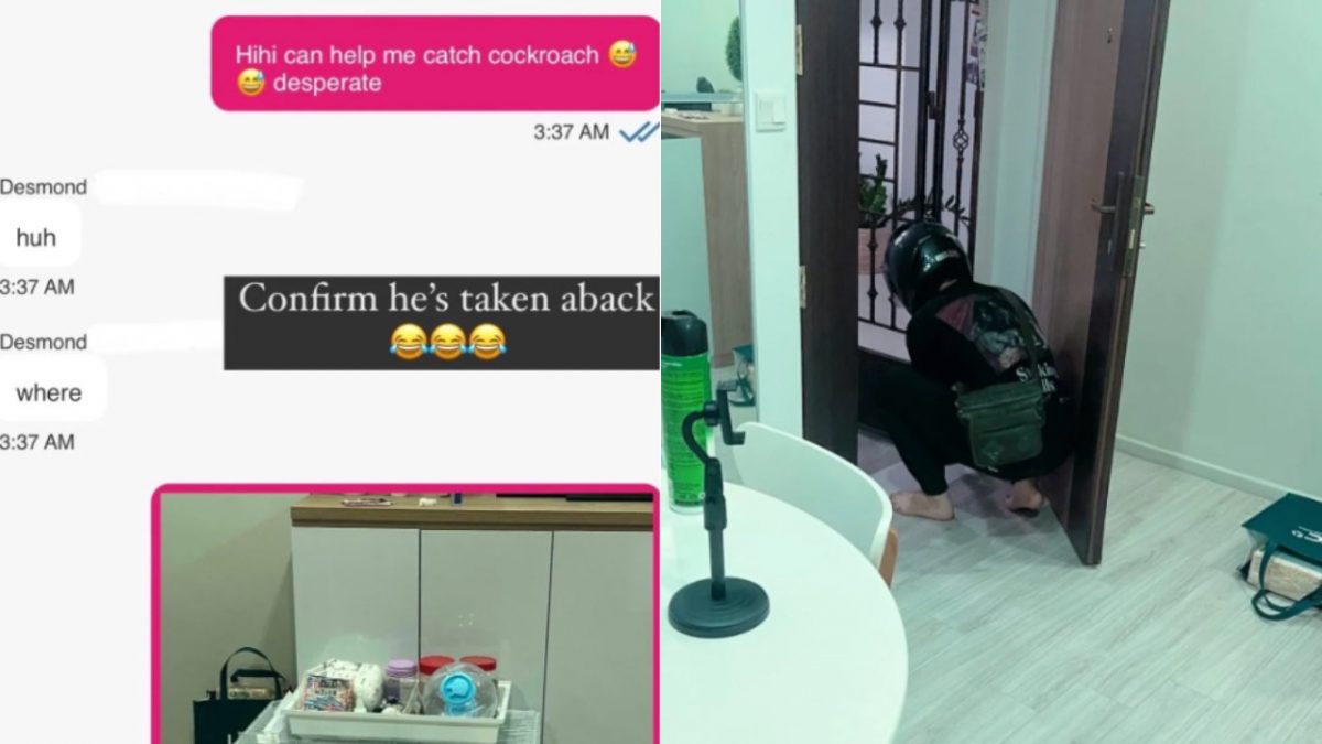 (已签发)柔:狮城二三事:女子半夜家中出现大蟑螂 送餐员一张餐巾纸搞定