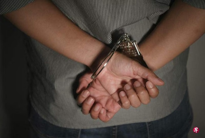 (已签发)柔:狮城二三事:来新旅游变小偷 阿叔连环盗窃监4周