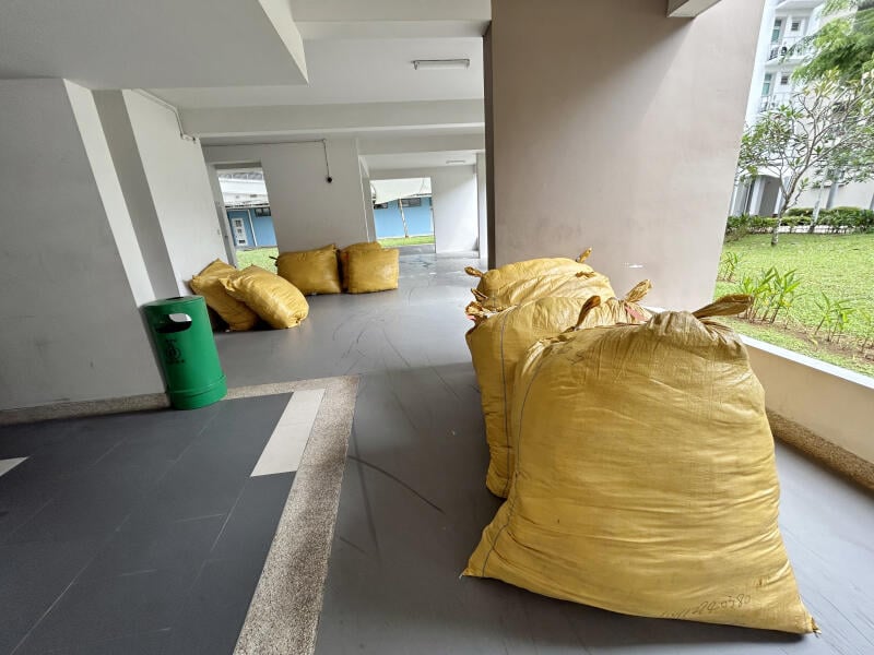 (已签发)柔:狮城二三事:男子诉花600新元请物流公司 14袋逾千公斤服饰送到楼下