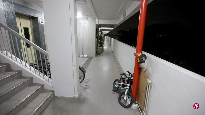 (已签发)柔:狮城二三事:男童扔脚踏车 警方介入调查