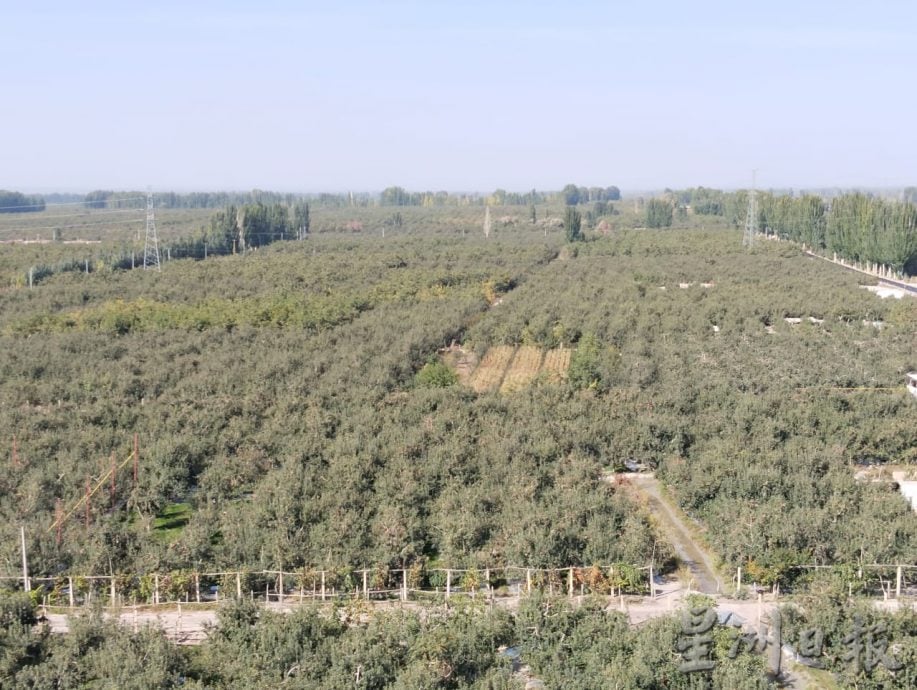 (重传,取代前文)特稿:星洲日报走入中国新疆:亲睹新疆多元文化及繁荣一面