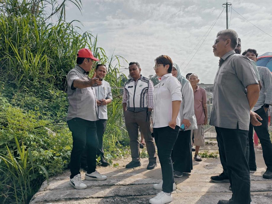 me02主文-大都会/潘佩玲 甲洞乌鲁新村淹水PC/8图