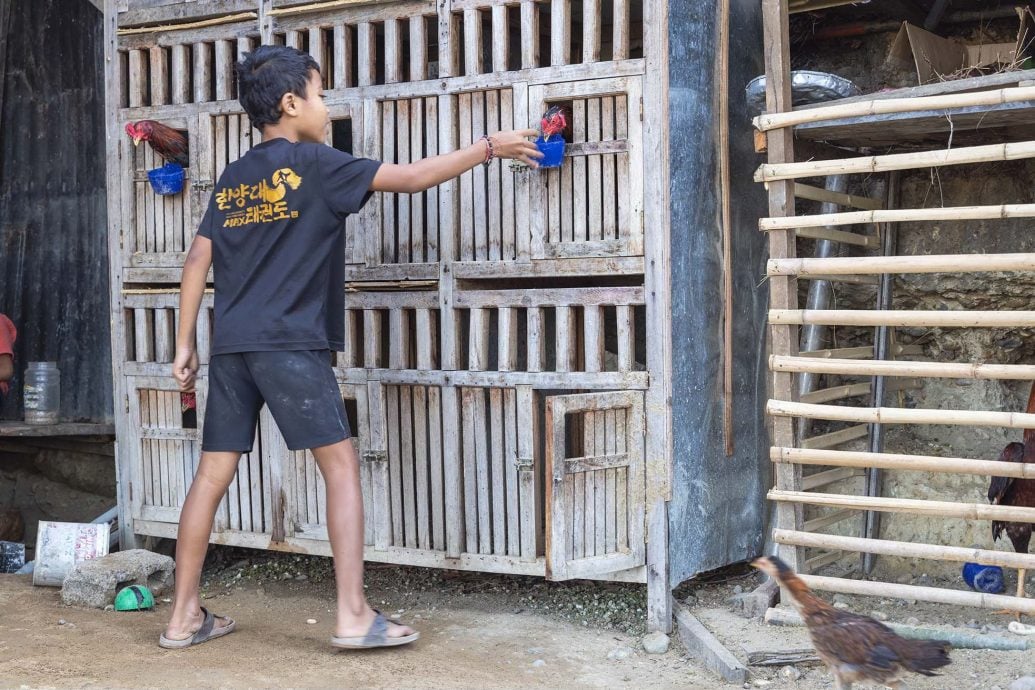 NS暖势力:“11年离乡背井,她早忘了回家的路!”雇主陪女佣千里寻亲