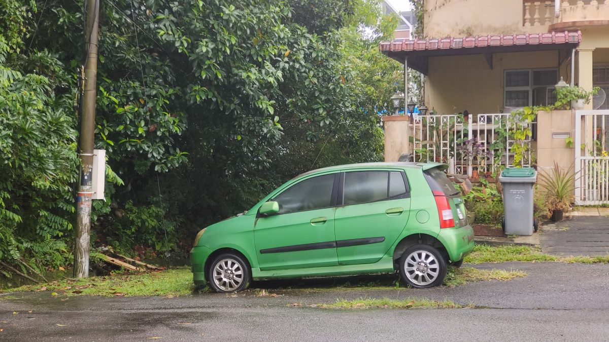 NS芙蓉:废车别乱停!庄雪和:“送㓥车厂还有额外收入”