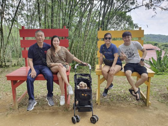 “会收包裹的小狗”，萌萌哒的背后有一段受暴虐经历