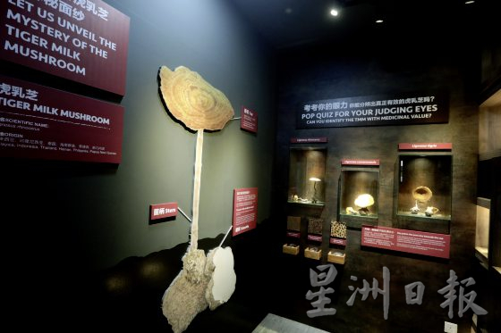 【工业旅游/02】2条路线+8家工厂,无拉港工业区这样玩!