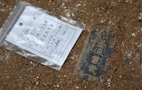 【豪古一派】林家豪/一代枭雄与一场闹剧