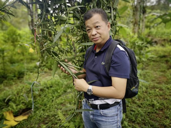 【香草／01】千里寻香获珍宝，一头栽入大溪地香草的农耕之路