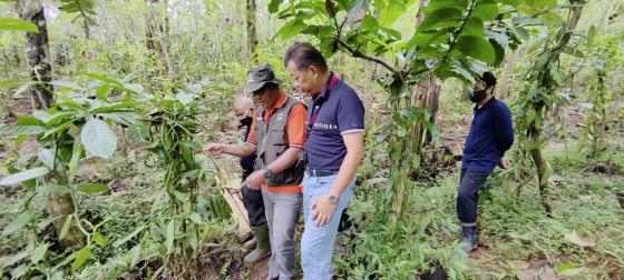 【香草／01】千里寻香获珍宝，一头栽入大溪地香草的农耕之路