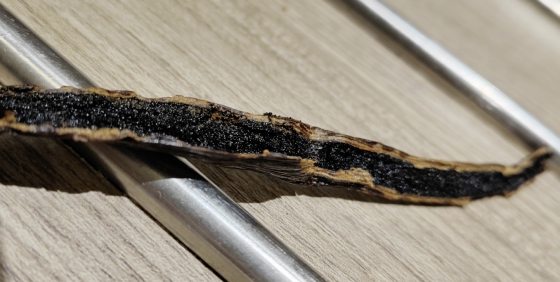 【香草／01】千里寻香获珍宝，一头栽入大溪地香草的农耕之路