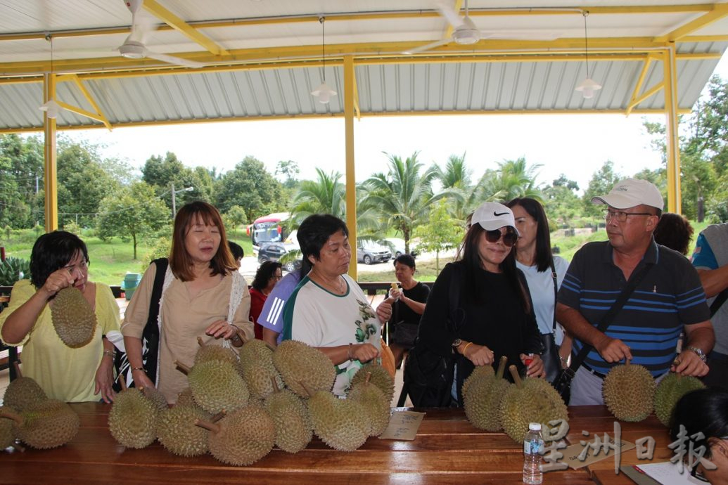 东:屠妖节三天连假,外州游子纷纷前往西彭劳勿旅游