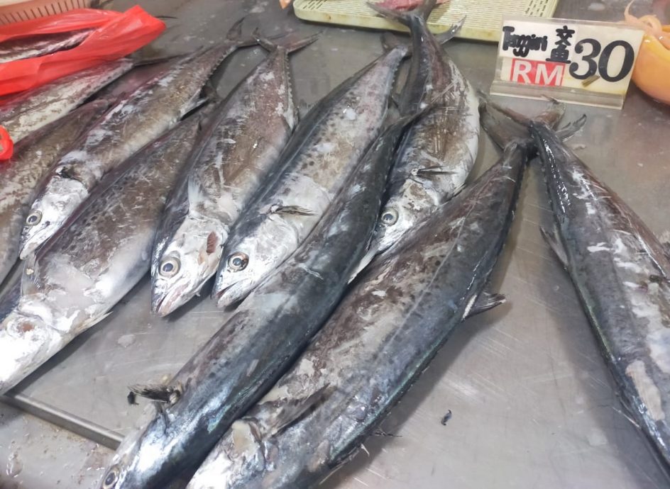 东：渔产价格平稳