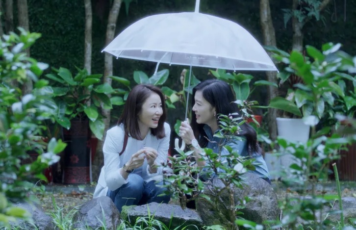 为霍建华量身打造戏？ 林心如：要有适合剧本