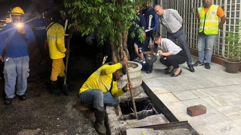 修树通沟防范水灾 县市议会 消拯队戒备应对雨季